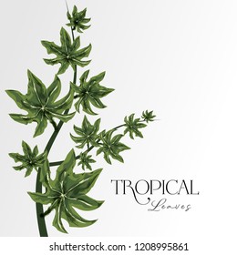 REALISTIC ILLUTRATION OF TROPICAL LEAVES. VECTOR ELEMENT FOR BANNERS / TEXTILES AND COSMETICS