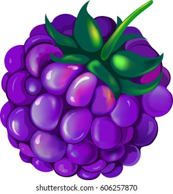 Realistic image of berries for icons, labels