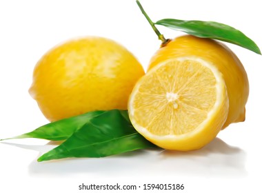 Realistic image of fruits. Juicy lemons. Citrus fruits. Vector realistic illustration of lemons with green leaves.