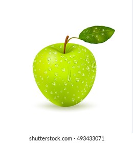 Realistic image of green apple wet with drops and natural green fresh fruit isolated with shadow on blank background vector illustration