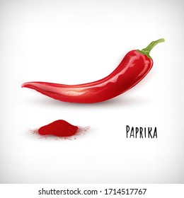 Realistic image of ground red hot pepper with raw pepper pod. Lettering Paprika. Flat style. Chili pepper with powder on vignette background. Elements for web designs. Vector illustration.