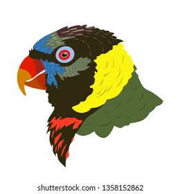Realistic image of the head Lori parrots. Vector isolated on white background.