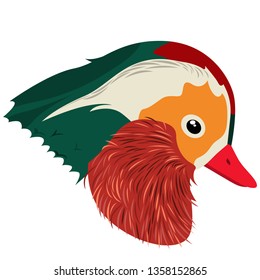 Realistic image of a mandarin duck bird head. Vector isolated on white background.