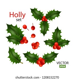 Realistic image set of holly, different variations, Christmas symbol, Christmas decor, winter berry. Holly branch isolated on white. 3D effect. Vector EPS10