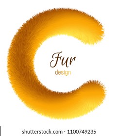Realistic image of a vector fur frame.