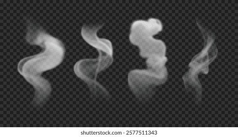 Realistic incense smoke, steam, vapor. Set of vector design elements. White wavy fog, haze isolated on transparent backdrop