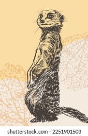 Realistic ink sketched meerkat suricata. Isolated vector illustration