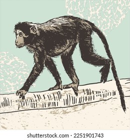 Realistic ink sketched monkey. Isolated vector illustration