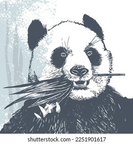 Realistic ink sketched panda. Isolated vector illustration