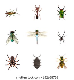 Realistic Insect, Bee, Damselfly And Other Vector Elements. Set Of Bug Realistic Symbols Also Includes Dor, Green, Jewel Objects.