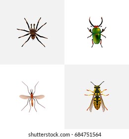 Realistic Insect, Bee, Gnat And Other Vector Elements. Set Of Bug Realistic Symbols Also Includes Wisp, Spider, Mosquito Objects.