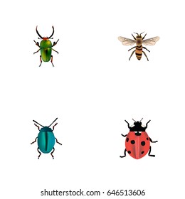 Realistic Insect, Bug, Wisp And Other Vector Elements. Set Of Animal Realistic Symbols Also Includes Bug, Dor, Insect Objects.