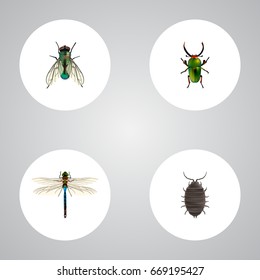 Realistic Insect, Dor, Damselfly And Other Vector Elements. Set Of Bug Realistic Symbols Also Includes Dragonfly, Bug, Wasp Objects.