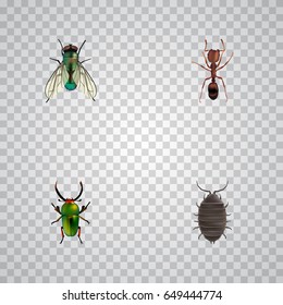 Realistic Insect, Dor, Emmet And Other Vector Elements. Set Of Insect Realistic Symbols Also Includes Insect, Housefly, Green Objects.