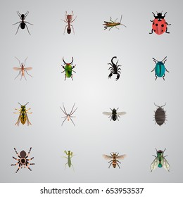 Realistic Insect, Dor, Ladybird And Other Vector Elements. Set Of Bug Realistic Symbols Also Includes Jewel, Beetle, Emmet Objects.