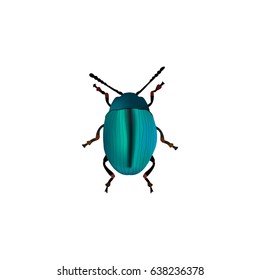 Realistic Insect Element. Vector Illustration Of Realistic Bug Isolated On Clean Background. Can Be Used As Bug, Blue And Dor Symbols.