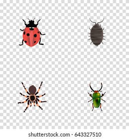 Realistic Insect, Ladybird, Dor And Other Vector Elements. Set Of Animal Realistic Symbols Also Includes Beetle, Tarantula, Insect Objects.