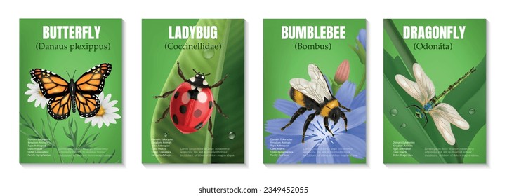 Realistic insect set of four vertical posters with text and images of butterfly ladybug bumblebee dragonfly vector illustration