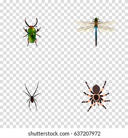 Realistic Insect, Spinner, Tarantula And Other Vector Elements. Set Of Animal Realistic Symbols Also Includes Spinner, Arachnid, Insect Objects.