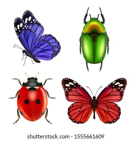 Realistic insects. Butterfly bugs ladybird ant vector collection of colored insects