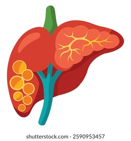 Realistic Internal Human Liver Displayed on White