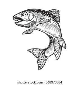 Realistic intricate drawing of the rainbow trout jumping out. Black and white sketch isolated on white background. Concept art for horoscope, tattoo or colouring book. EPS10 vector illustration