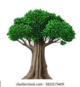Realistic isolate fairy vector tree with leaves. Plant with green foliage. Forest nature and ecology