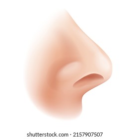 Realistic isolated 3D human nose profile - illustration for nasal drops, spray or rhinoplasty