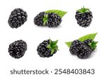 Realistic isolated 3d ripe blackberry berry fruit set. Vector plump, ripe and fresh black raspberries, some with green leaves in various angle views. Natural, sweet forest or garden juicy blackberries