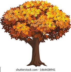 Realistic isolated autumn tree. Old tree with a dense crowd of foliage.