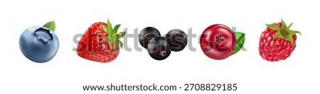 Realistic isolated berries. 3d forest berry mix, blackcurrant blueberry blackberry raspberry strawberry cranberry sweet fruit nature healthy food garden plant vector illustration