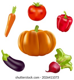 Realistic isolated colorful vegetables. Autumn harvesting from the vegetable garden