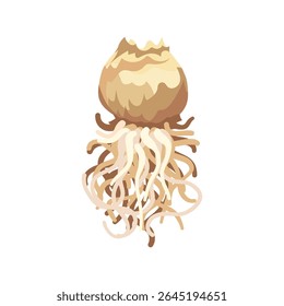 Realistic isolated flower bulb with roots, hand drawn vector illustration for seed packaging, bulbs of house and garden plants such tulips, daffodils, irises, hyacinths, buttercups, gladioli, begonias