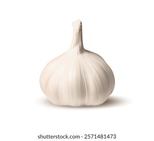 Realistic isolated garlic. Ripe raw garlic bulb seasoning vegetable whole head. 3d vector aromatic bulb with papery skin revealing plump cloves, ready to elevate any culinary dish with robust flavor