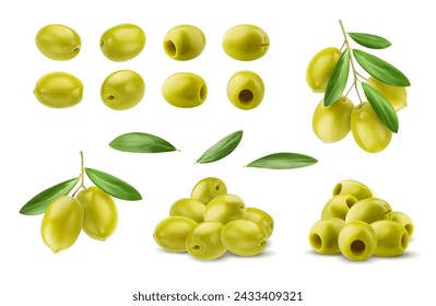 Realistic isolated green olives, olive branch and leaves. Isolated vector set of tasty and briny popular mediterranean snack with vibrant green color and firm texture. Versatile cuisine ingredient