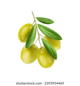 Realistic isolated green olives on branch with leaves. 3d vector fresh vibrant berries glisten on stem, nestled among lush leaves, epitomizing Mediterranean freshness and delectable cuisine