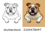 Realistic isolated head of bulldog dog vector hand drawing illustration monochrome and color. For decoration, coloring books, design, print, posters, postcards, stickers, t-shirt