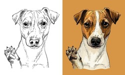 Realistic Isolated Head Of Jack Russel Terrier Dog Vector Hand Drawing Illustration Monochrome And Color. For Decoration, Coloring Books, Design, Print, Posters, Postcards, Stickers, T-shirt