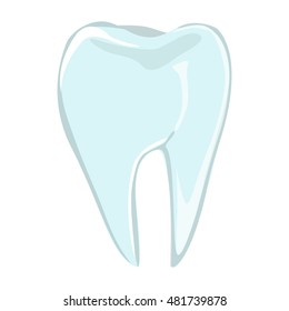 Realistic isolated human tooth on white background. Body organ. Human anatomy.