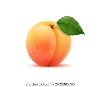 Realistic isolated ripe apricot fruit with green leaf. 3d vector vitamin summer food, whole fruit presents a harmonious blend of sweetness and freshness, embodying the essence of natural bounty