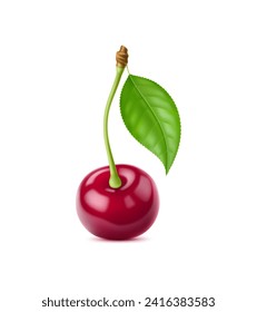 Realistic isolated ripe raw cherry berry. 3d vector vivid, fresh summer, fruit with an intact stem and leaf, showcasing its vibrant red hue and tempting freshness, ready to be plucked and enjoyed