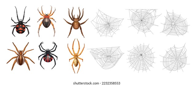 Icono de telaraña aislado realista con seis arañas y diferentes ilustraciones vectoriales de webs