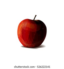 Realistic isolated vector apple