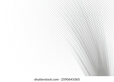 Realistic isolated vector palm leaf shadow effect. Transparent tropical plant leaf shadow overlay effect.