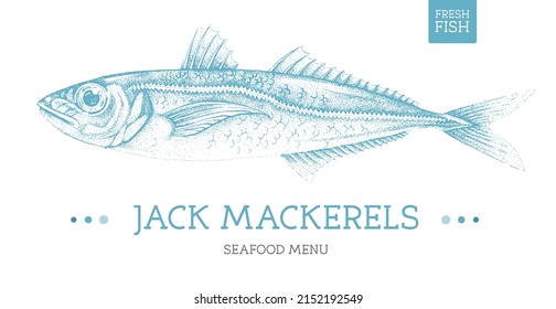 Realistic jack mackerels fish vector illustration. Seafood menu design