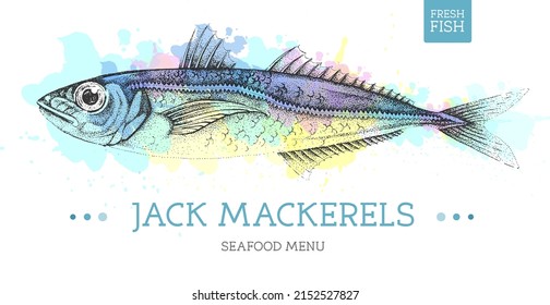 Realistic Jack mackerels fish vector illustration on artistic watercolor background. Seafood menu design