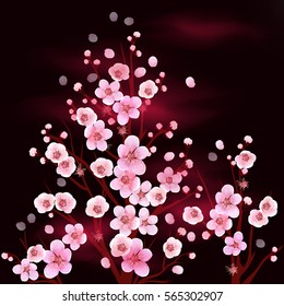 Realistic Japan Cherry, Apricot, Plum Branch with Blooming Flowers. Vector illustration.  