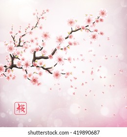 Realistic japan cherry branch with blooming flowers. Hieroglyph - Sakura. EPS 10 vector file included