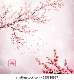 Realistic japan cherry branch with blooming flowers. Hieroglyph - Sakura. EPS 10 vector file included