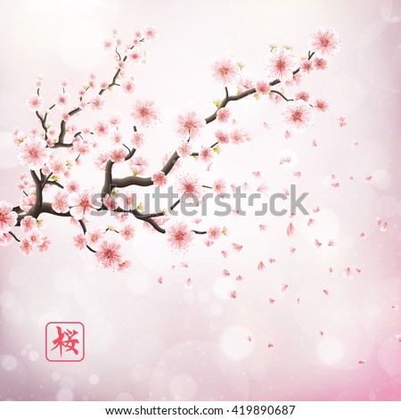 Realistic japan cherry branch with blooming flowers. Hieroglyph - Sakura. EPS 10 vector file included